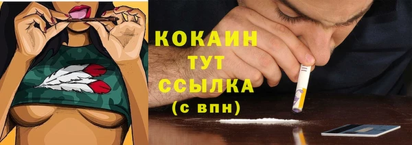 твердый Балахна