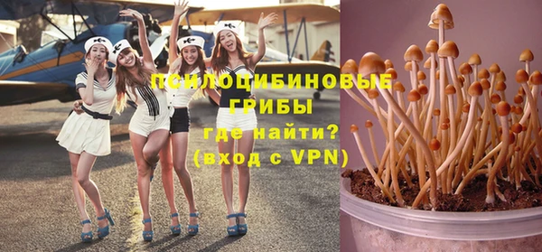 твердый Балахна