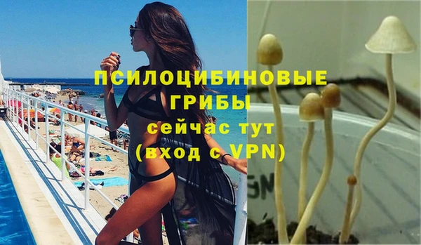 PSILOCYBIN Баксан