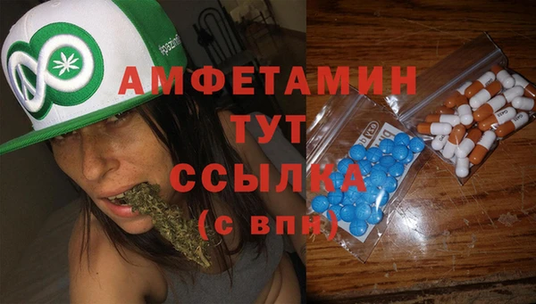 PSILOCYBIN Баксан