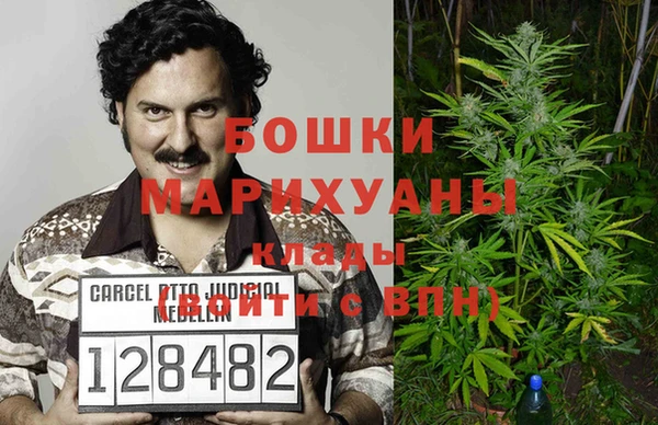 PSILOCYBIN Баксан