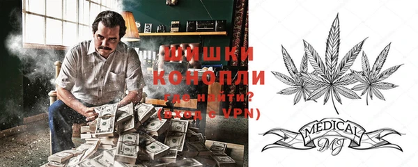 PSILOCYBIN Баксан