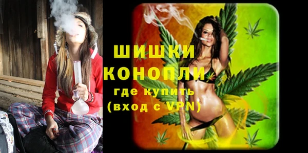 PSILOCYBIN Баксан
