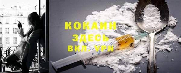 PSILOCYBIN Баксан