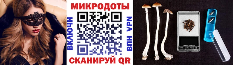 магазин    Надым  дарк нет наркотические препараты  Галлюциногенные грибы Psilocybine cubensis 